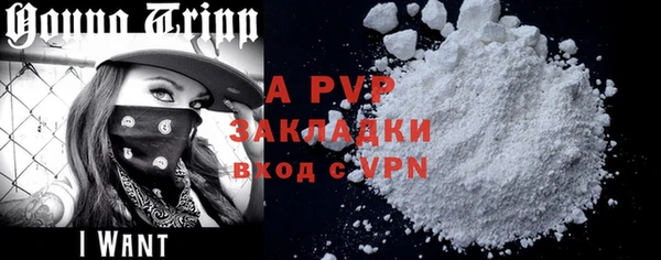 spice Богородицк
