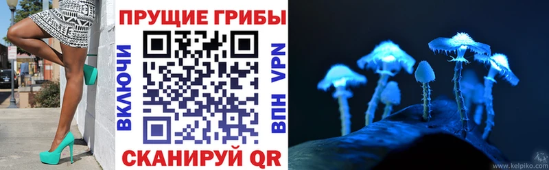 Галлюциногенные грибы прущие грибы Оренбург